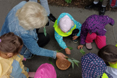 IMG_20260610_103330