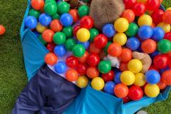 IMG-20250601-WA0045