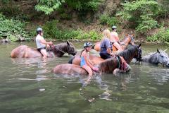IMG-20260712-WA0077