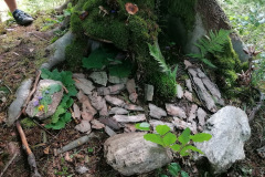 IMG_20210719_103618