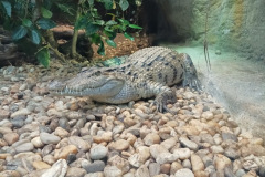 IMG_20240202_120836